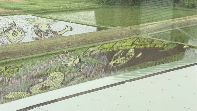 「天穂のサクナヒメ」が田んぼに降臨!圧巻の「田んぼアート」が見頃に 福島・鏡石町|TBS NEWS DIG