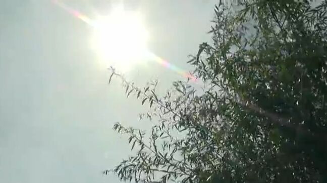 【熱中症に警戒を】熱中症の疑いで岡山県内9人・香川県内9人搬送 滝宮(香川・綾川町)は6月観測史上最高の36.2℃に【16日】|TBS NEWS DIG