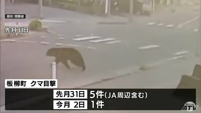 「なかなかいなくならない…」またも町の中心部で『クマ』目撃 町の職員が見回りするなど警戒強める 青森県板柳町|TBS NEWS DIG