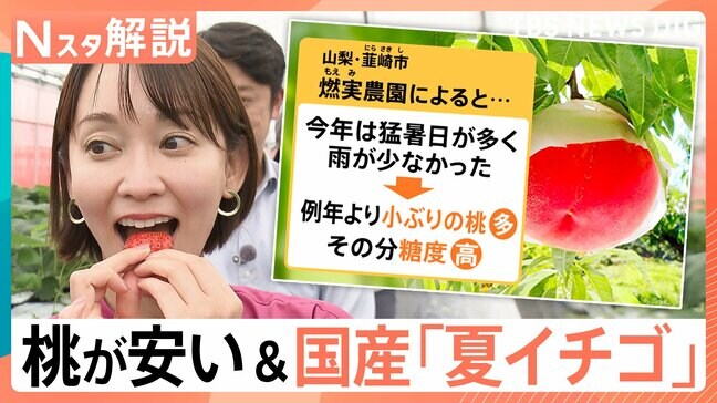 今年の桃が安くて甘い! 最高金賞受賞の“過疎地域”が作る夏イチゴとは【Nスタ解説】|TBS NEWS DIG