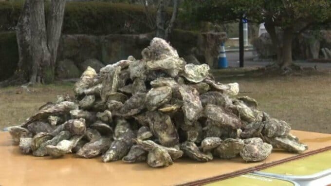 大量死にプランクトン発生…逆境乗り越え「牡蠣まつり」盛況 愛媛・愛南町|TBS NEWS DIG
