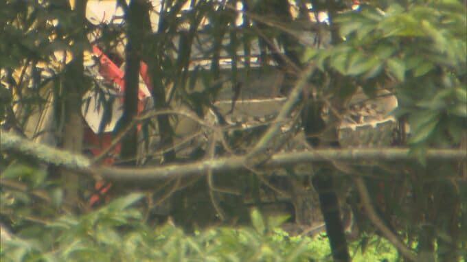 78歳の男性が田んぼで死亡　近くにコンバイン横転、警察が司法解剖で死因など調べる　大分・臼杵市　|　大分のニュース｜OBS NEWS｜大分放送