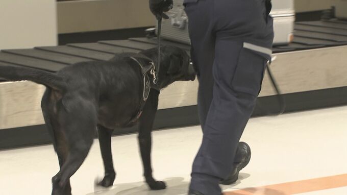 不正薬物などの密輸防止へ警戒を強化　沖縄地区税関が「年末特別警戒」|TBS NEWS DIG
