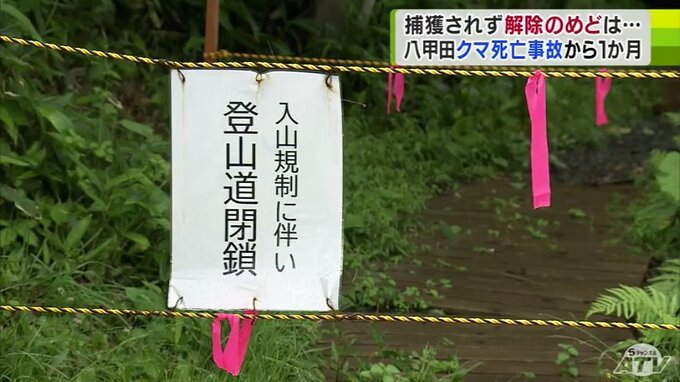 「やばいクマなんですよ…」青森八甲田・クマによる女性死亡事案から1か月　未だに捕獲されない現状　入山規制は解除の目途立たず…　事業者などに不安広がる|TBS NEWS DIG