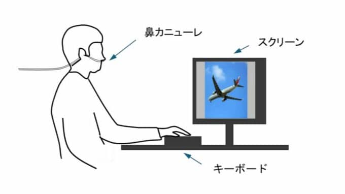 呼吸のタイミングが｢記憶｣に関係している!? 暗記のコツは…覚える時に｢吐く｣ 答える時も｢吐く｣  ｢声を出しながら英単語を覚える行為は、理に適っている｣|TBS NEWS DIG