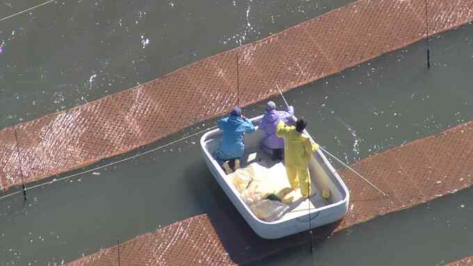 海面を彩るカラフルな網　有明海でノリ“種付け”解禁～養殖シーズン始まる　|　福岡のニュース｜RKB NEWS｜RKB毎日放送