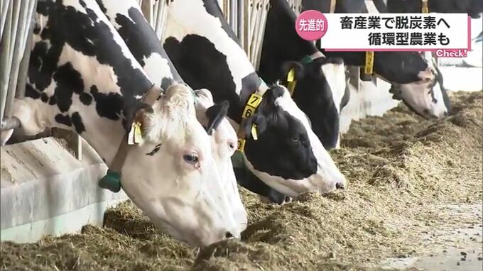 牛のゲップもふん尿も「脱炭素」と「循環型農業」に　新富町の酪農家の先進的取り組み　|　MRTニュース ｜ ＭＲＴ宮崎放送
