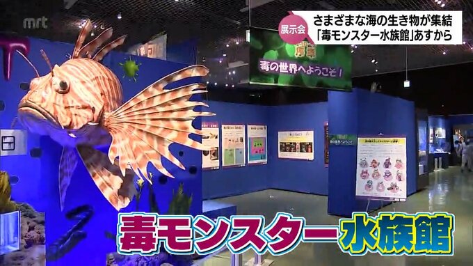 「毒」を持つ海洋生物を一堂に集めた展示会「毒モンスター水族館」　13日から宮崎県総合博物館で開催　|　MRTニュース ｜ ＭＲＴ宮崎放送