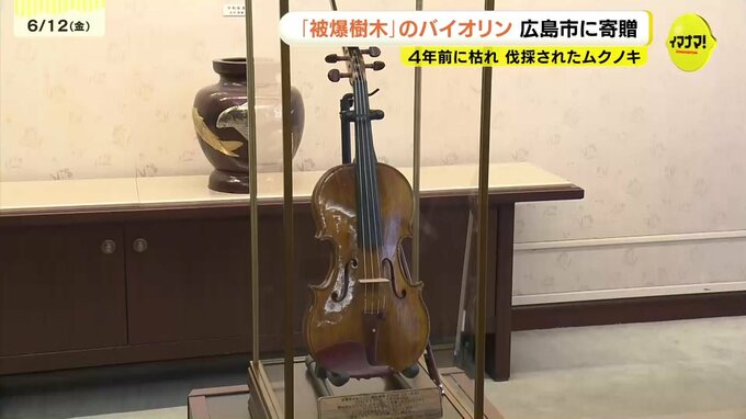 被爆樹木のムクノキで製作したバイオリン　ロータリークラブが広島市に寄贈　被爆の実相伝えるために　|　RCC NEWS | 広島ニュース | RCC中国放送