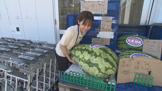 スーパーの店頭に…重さ約50キロの超巨大スイカ　鳥取特産「大栄西瓜」　|　BSSニュース | BSS山陰放送