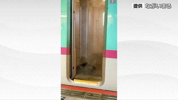 【速報】東北新幹線で漏れた薬品「硫酸」「硝酸」の成分検出　持ち運んでいた地質調査会社社長「ペットボトルで持ってきた」|TBS NEWS DIG