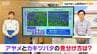 『いずれアヤメかカキツバタ』どちらがアヤメでどちらがカキツバタ？その見分け方は“花の中央”　|　新潟のニュース・天気｜BSN NEWS｜BSN新潟放送