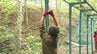 【ヒグマ対策】円山動物園などに電気柵を順次設置 過去最多のクマ出没を受け札幌市が山に近い学校など計8か所で対策強化　|　北海道のニュース｜HBC北海道放送
