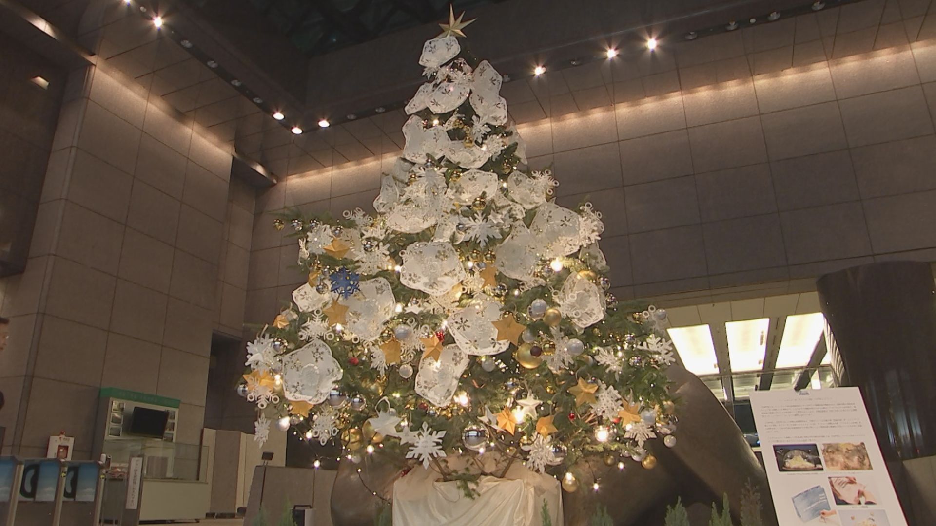 プラスチックに代わる環境に配慮した素材で飾り付けたクリスマスツリー 