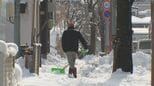 【記録的大雪】釧路市21㎝、標茶町29㎝　4月の6時間降雪で観測記録…季節外れの大雪に住民「こんなに降るとは思わなかった」3日は春らしい陽気に|TBS NEWS DIG