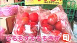 すもももももも今が旬!そんなすももには驚きの品種が続々!1玉1000円超え?皮は緑なのに中身は真っ赤?不思議なすもも世界!|TBS NEWS DIG