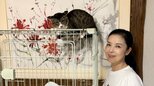 【 ねこ 】藤あや子さん　外猫「じゃこ天」くんを “新しい家族” として保護　「マルオレちゃんの弟分になりました！」　現在はケージ内で慣らし中|TBS NEWS DIG