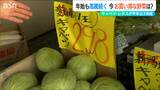 「根菜類は気候の影響をあまり受けず」高騰続く野菜 今買うべきものは?|TBS NEWS DIG