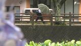 東海地方(静岡県)梅雨入り 平年より15日遅く、2023年より23日遅い【速報】 | 静岡のニュース | SBSNEWS | 静岡放送