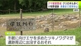 クマによる人的被害受け「小牧野遺跡」の見学が8日から休止に 2026年4月30日まで 冬眠に向けエサ求めるツキノワグマが遺跡周辺に出没する恐れあり 青森市|TBS NEWS DIG