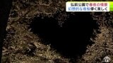 弘前の夜桜　夜空に浮かぶ桜色のハートの絶景　園内のソメイヨシノは「3分散り」もひと際輝き放つのは園内最古・推定樹齢145年のソメイヨシノ　訪れた人からは「世界一のサクラだ」|TBS NEWS DIG
