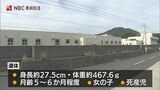 下水処理場で見つかった赤ちゃんは女の子 生まれる前に亡くなっていた死産児だった | 長崎のニュース | 天気 | NBC長崎放送