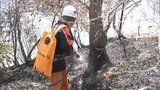 「各ブロックに分けてローラー作戦で」岡山市南区の山林火災 鎮火目指し火種確認する地道な消火活動続く【岡山】|TBS NEWS DIG