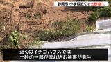 あわや!小学校の裏山で土砂崩れ いちご栽培用ハウスに被害=静岡市駿河区(静岡県) | 静岡のニュース | SBSNEWS | 静岡放送