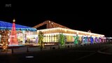 約20万球の電飾とクリスマスツリー　道の駅都城NiQLLでイルミネーション|TBS NEWS DIG