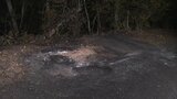山中で焼けた車から２人の遺体見つかる　１人は子どもか　警察が捜査　広島　|　RCC NEWS | 広島ニュース | RCC中国放送