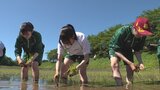 高校生が大正時代から続く伝統の授業「田植え」体験　稲作文化や農業の大切さ学ぶ|TBS NEWS DIG