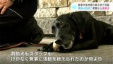 倒壊した家屋から1人を発見 能登半島地震の被災地で活動の救助犬団体に高知県警から感謝状 | 高知のニュース・天気|KUTV NEWS | KUTVテレビ高知