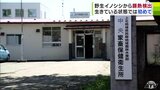 【6例目】捕獲した「野生のイノシシ」から「豚熱」検出 「生きているイノシシ」からの感染確認は初めて 青森県|TBS NEWS DIG
