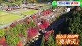 「すばらしいです!」紅葉の名所・鏡野町の「奥津渓」 絶景を空中散歩してみました【岡山】|TBS NEWS DIG