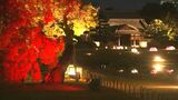 「紅葉をライトアップとともに楽しんで」岡山後楽園の“秋の幻想庭園”試験点灯 17日開幕【岡山】|TBS NEWS DIG
