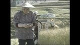“鳥すらまたぐ米”から日本一の『コシヒカリ』へ 2度の米騒動を経験した新潟の農業 昭和~平成~令和 そして未来のコメ作りは? | 新潟のニュース・天気|BSN NEWS|BSN新潟放送