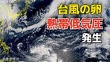 【日本への影響は？】台風のたまご「熱帯低気圧」発生…あす（10日）には台風に発達する見込み　＊19日（日）まで全国の天気シミュレーション【気象庁台風情報 9日午前9時更新】|TBS NEWS DIG
