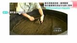 指定されれば県内で46年ぶり…高知の「碁石茶の製造技術」「御神穀祭」　国の重要無形民俗文化財に答申　|　高知のニュース・天気｜KUTV NEWS | KUTVテレビ高知