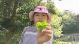 「家から出て自然を味わって」親子で野草観察 里山ビオトープ二俣瀬|TBS NEWS DIG