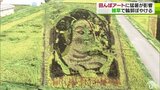 田んぼアートに猛暑が影響「雑草で絵がぼやけている」　草取りは「暑さでちょっと」|TBS NEWS DIG