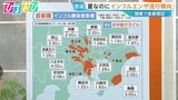夏なのに「インフルエンザ」関東で増加傾向 ワクチンの“空白期間”予防が重要【ひるおび】|TBS NEWS DIG