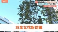 東京は朝はブルブル昼はポカポカ　雨上がりで花粉が大量飛散 「やばいですね」強風でさらに注意が必要に|TBS NEWS DIG