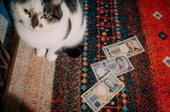 年金マネー、GPIFの国内投資は円高への第一歩－変わる円の「ナラティブ」| TBS CROSS DIG with Bloomberg