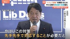 「対策を先手先手で」トランプ関税に自民党が“国内対策の提言案”取りまとめ　中小企業の資金繰り支援強化など　あす政府に申し入れ| TBS CROSS DIG with Bloomberg
