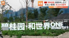 中国不動産大手「碧桂園」債権者らが香港の裁判所に清算を申し立て　碧桂園は「断固反対」| TBS CROSS DIG with Bloomberg