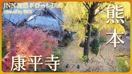 黄色に染まる古刹【JNN紅葉ドローンDIG】|TBS NEWS DIG