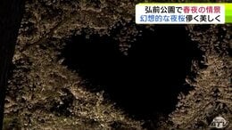 弘前の夜桜　夜空に浮かぶ桜色のハートの絶景　園内のソメイヨシノは「3分散り」もひと際輝き放つのは園内最古・推定樹齢145年のソメイヨシノ　訪れた人からは「世界一のサクラだ」　|　青森のニュース│ATV NEWS│青森テレビ