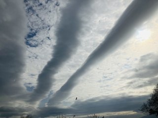上空に巨大な2本のロール状の雲　目撃相次ぐ　鹿児島県鹿屋市|TBS NEWS DIG