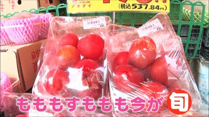 すもももももも今が旬！そんなすももには驚きの品種が続々！1玉1000円