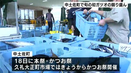 きょうから『かつお祭』 高知県中土佐町で旬の初ガツオの競り盛ん